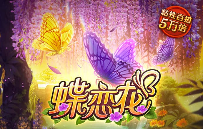 高云体育入口app